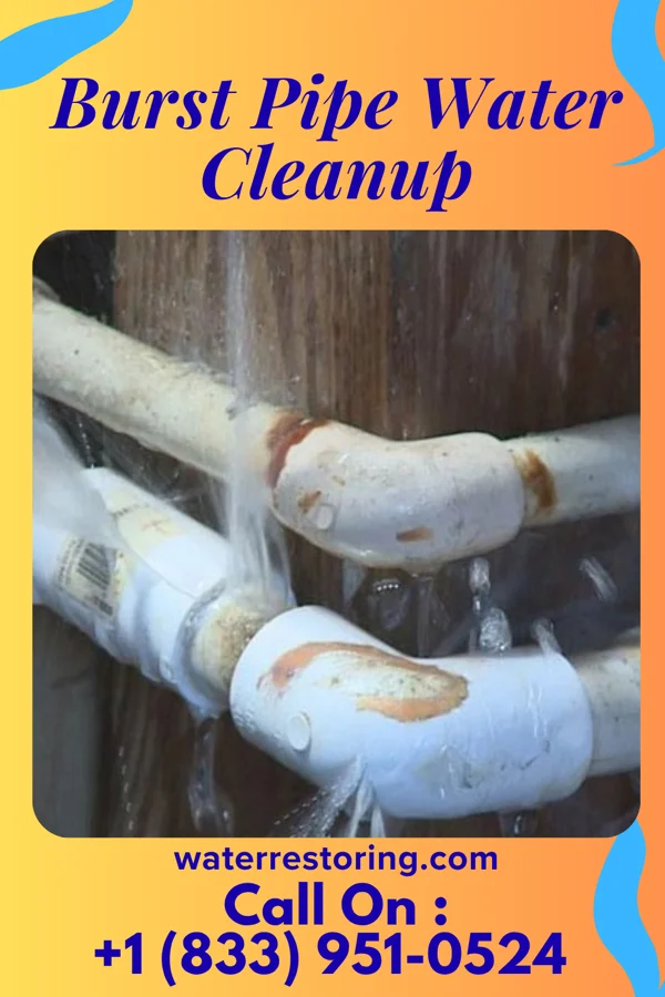 Burst Pipe Water Cleanup in Walnut Grove, TN