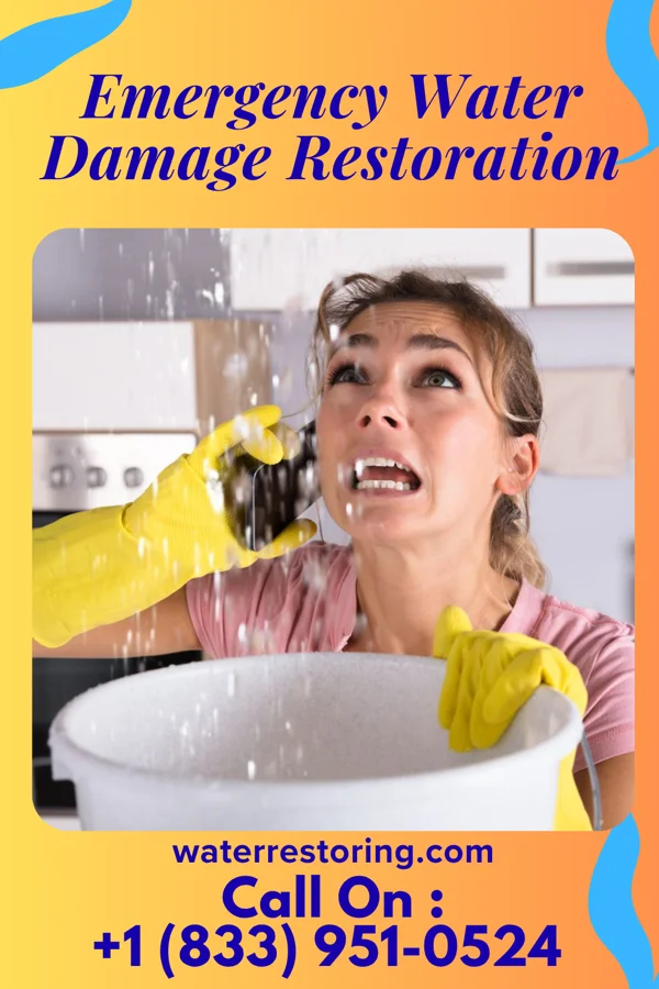 Emergency Water Damage Restoration in Walnut Grove, TN