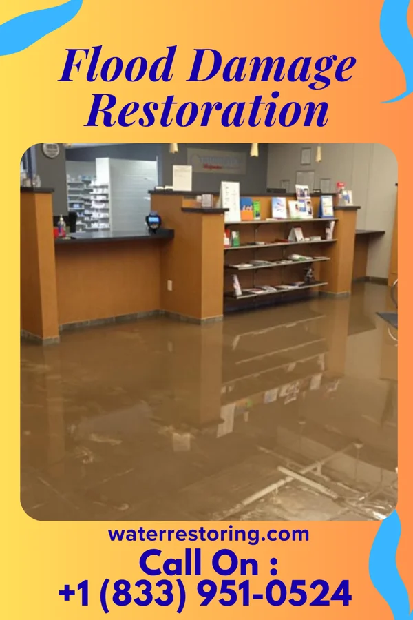Flood Damage Restoration in Walnut Grove, TN