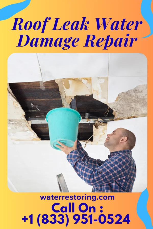 Roof Leak Water Damage Repair in Walnut Grove, TN