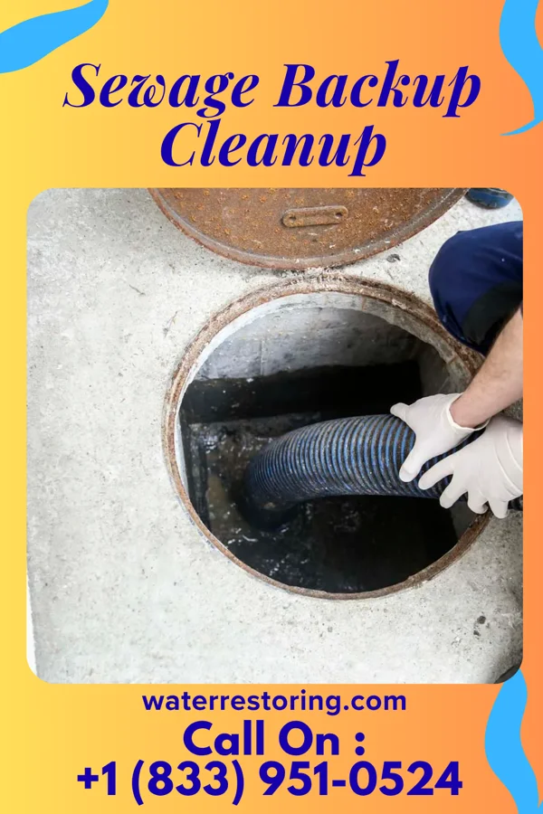 Sewage Backup Cleanup in Walnut Grove, TN